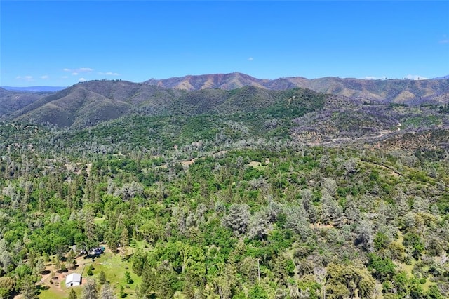 5192 Oak Rd, Mariposa, CA 95345 - mountain view featuring a forest
