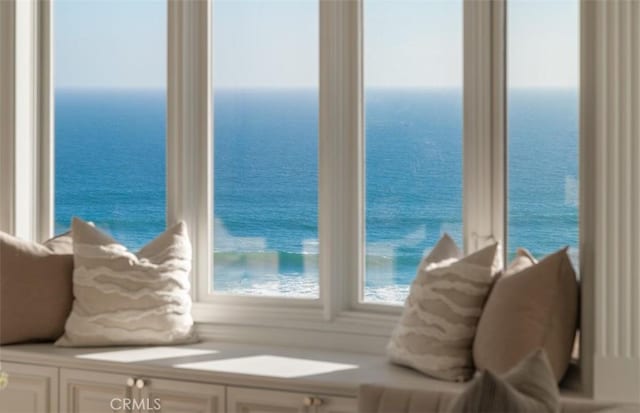 71 Ritz Cove Dr, Dana Point, CA 92629 - living area with a water view and carpet flooring