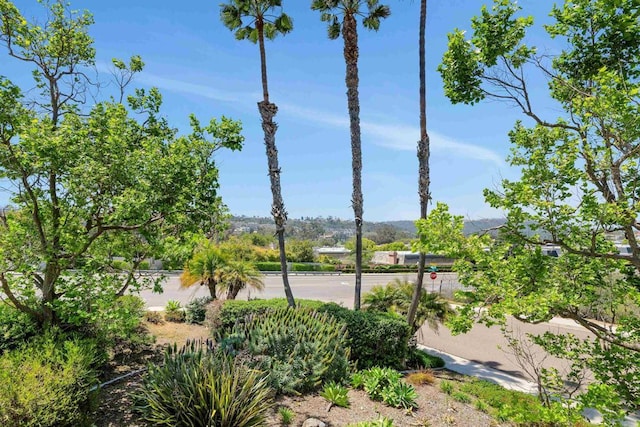 7488 Altiva Pl, Carlsbad, CA 92009 - water view