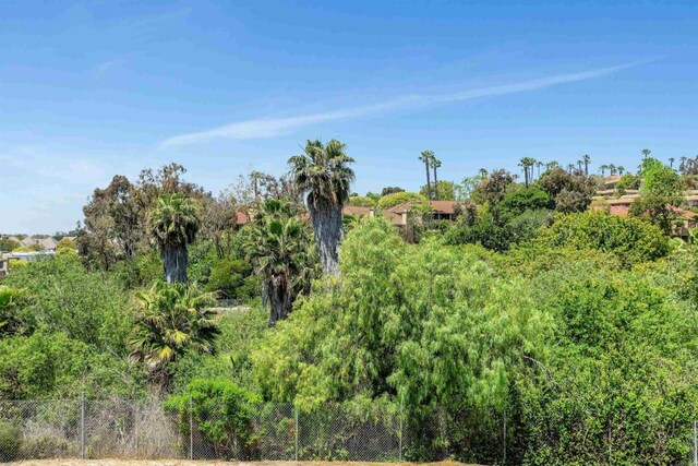 7488 Altiva Pl, Carlsbad, CA 92009 - view of nature