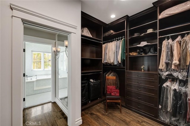 2711 Elm Ave, Manhattan Beach, CA 90266 - spacious closet featuring dark wood-type flooring