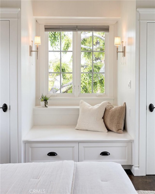 2711 Elm Ave, Manhattan Beach, CA 90266 - mudroom featuring dark wood finished floors