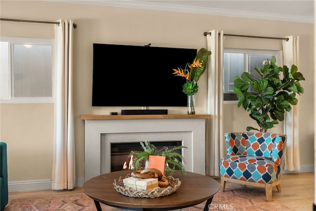 sitting room with crown molding, wood finished floors, a fireplace, and baseboards