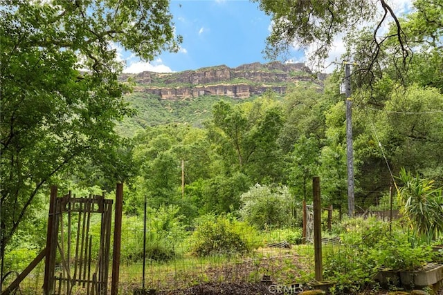 5338 Deception River Rd, Chico, CA 95928 - view of mountain backdrop featuring a forest