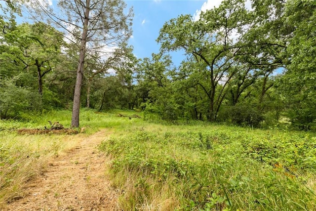 5338 Deception River Rd, Chico, CA 95928 - view of woods