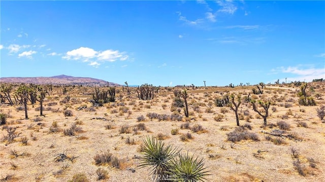 0 Laramie St, Apple Valley, CA 92308