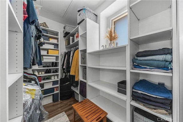 walk in closet with wood finished floors and attic access