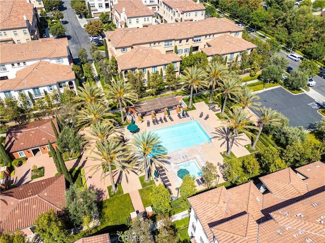 bird's eye view of a pool