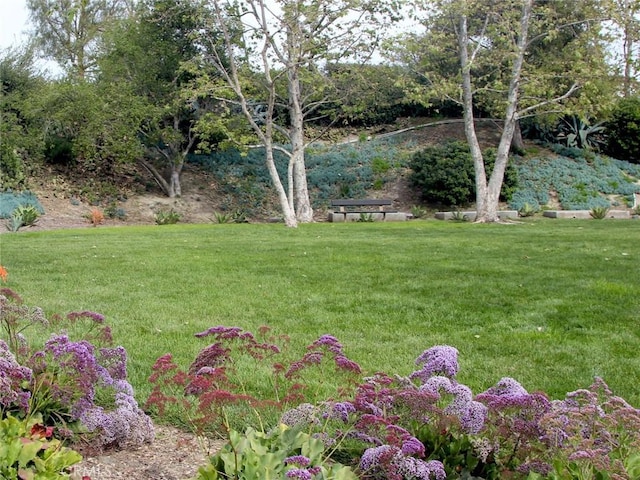 27371 Via Priorato, San Juan Capistrano, CA 92675 - view of grassy yard