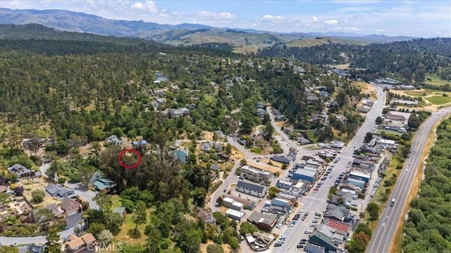 5581 Sunbury Ave, Cambria, CA 93428 - photo 48