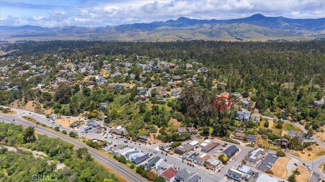 5581 Sunbury Ave, Cambria, CA 93428 - photo 49