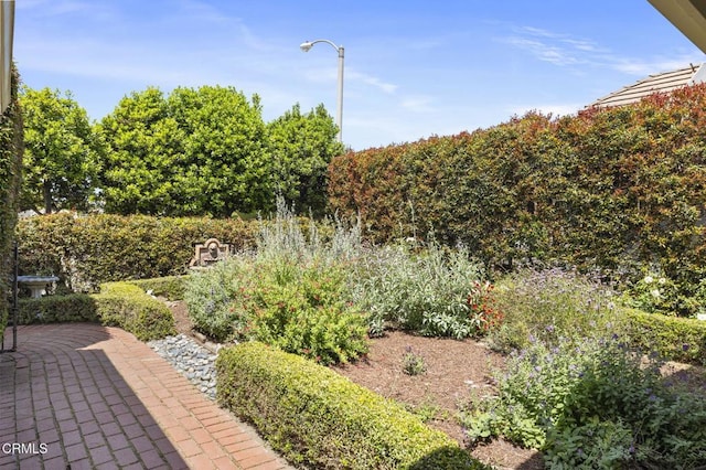 2426 Warbler Ave, Ventura, CA 93003 - view of yard featuring a patio