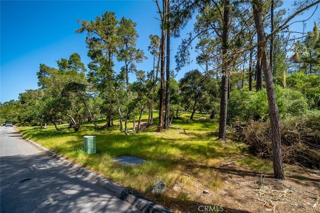 6475 Kathryn Dr, Cambria, CA 93428 - photo 3