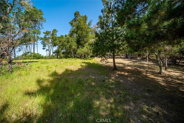 6475 Kathryn Dr, Cambria, CA 93428 - photo 5