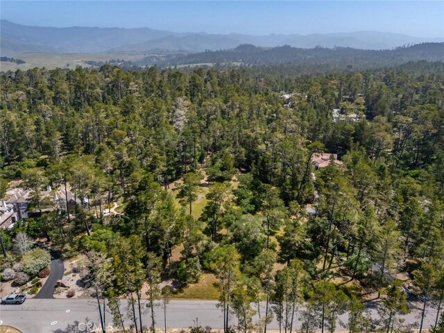 6475 Kathryn Dr, Cambria, CA 93428 - photo 14