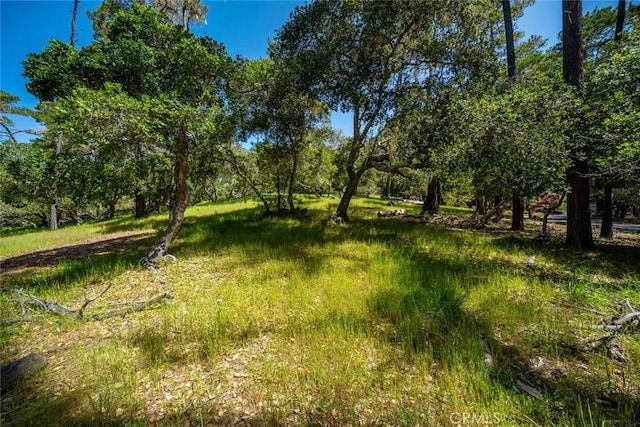 6475 Kathryn Dr, Cambria, CA 93428 - photo 10