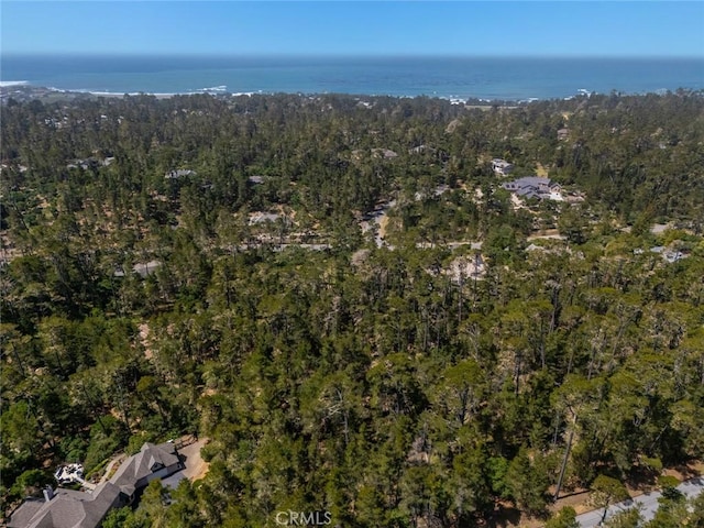6475 Kathryn Dr, Cambria, CA 93428 - photo 17