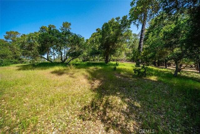 6475 Kathryn Dr, Cambria, CA 93428 - photo 6