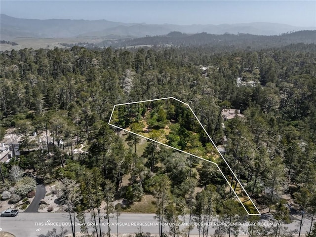 6475 Kathryn Dr, Cambria, CA 93428 - photo 2