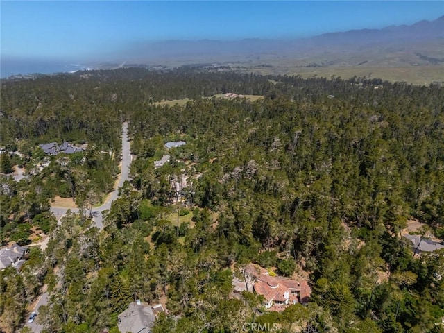 6475 Kathryn Dr, Cambria, CA 93428 - photo 12