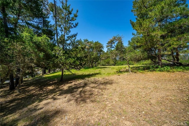 6475 Kathryn Dr, Cambria, CA 93428 - photo 8