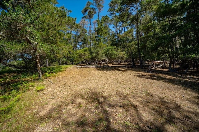 6475 Kathryn Dr, Cambria, CA 93428 - photo 9
