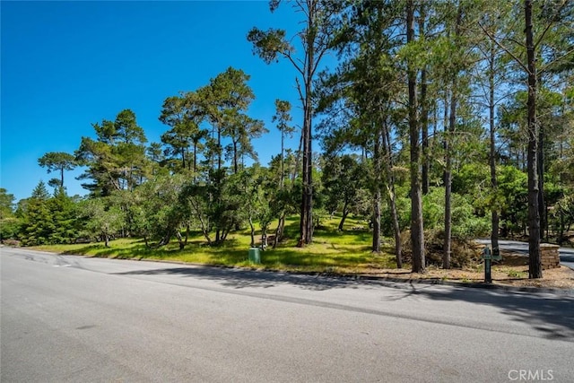 6475 Kathryn Dr, Cambria, CA 93428 - photo 4