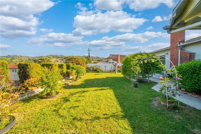 2204 Ruiz Pl, Hacienda Heights, CA 91745 - view of yard
