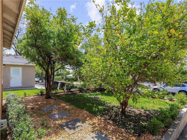 3627 Virginia St, La Crescenta, CA 91214 - view of yard