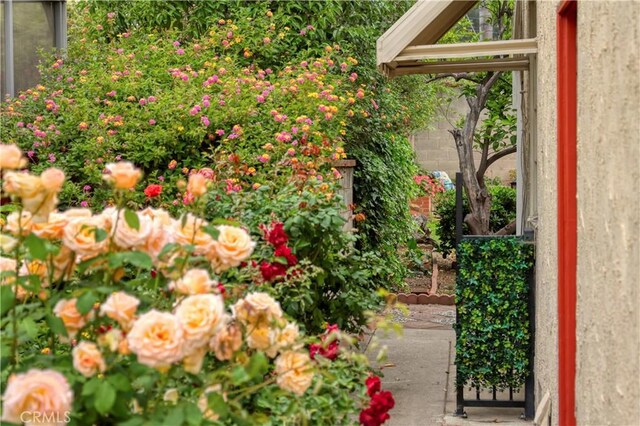 10345 Sherman Grove Ave, Sunland, CA 91040 - view of yard