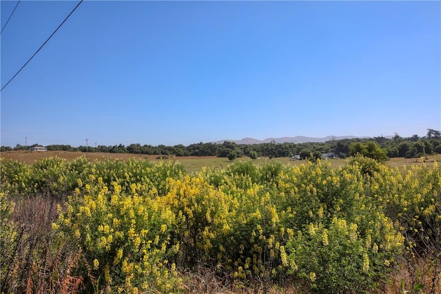 1276 Pomeroy Rd, Arroyo Grande, CA 93420