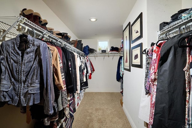 spacious closet with carpet flooring