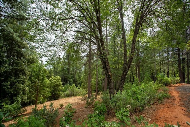 10647 Forbestown Rd, Challenge, CA 95925 - view of tree filled area