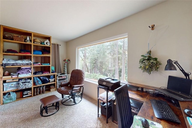 10647 Forbestown Rd, Challenge, CA 95925 - home office featuring carpet flooring