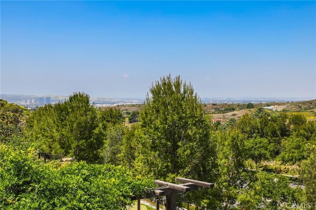 28 Dogwood, Lake Forest, CA 92630 - view of undeveloped land