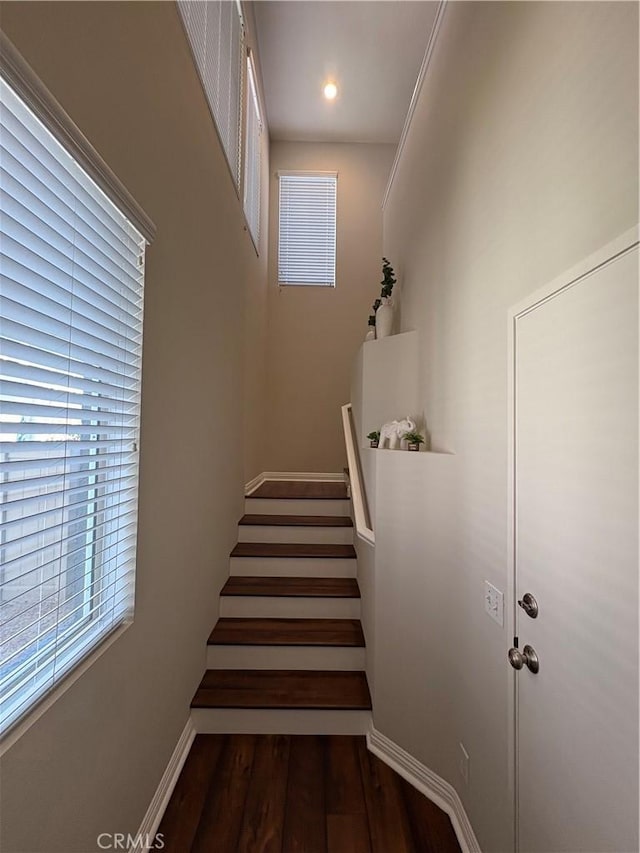 3329 E Metcalf Cir Unit B, Orange, CA 92869 - staircase with baseboards and wood finished floors