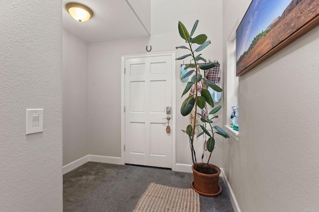 4556 Cove Dr, Carlsbad, CA 92008 - photo 3
