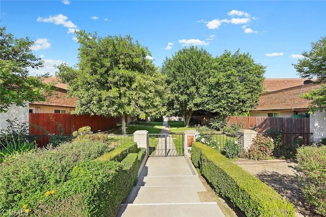 5572 Temple City Blvd, Temple City, CA 91780 - photo 11