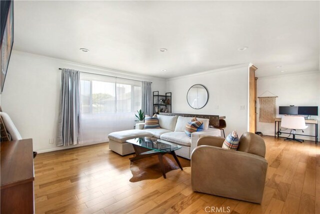 1100 Rutland Rd Unit 12, Newport Beach, CA 92660 - living room with light wood-type flooring and crown molding