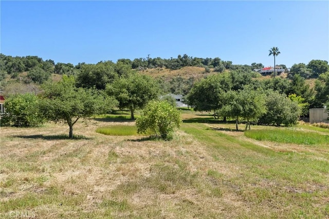 1804 Deer Canyon Rd, Arroyo Grande, CA 93420 - view of nature