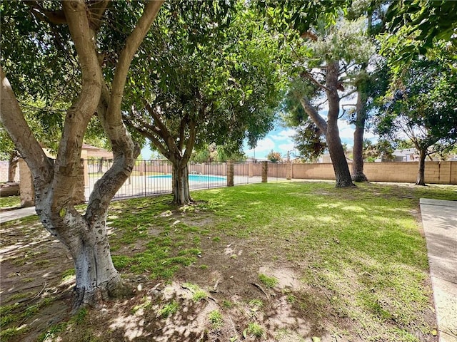 128 Fairview St Unit 1, Santa Ana, CA 92704 - view of yard
