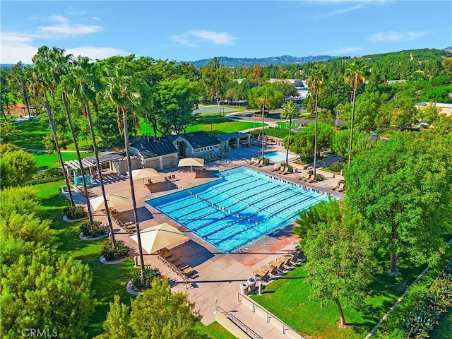 community pool with a patio