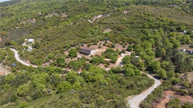 7525 Starlight Way, Julian, CA 92036 - drone / aerial view of a forest