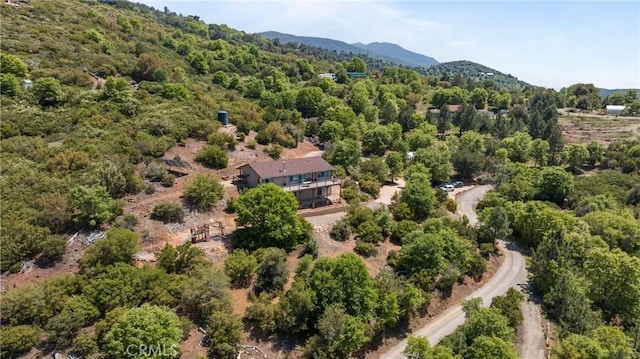 7525 Starlight Way, Julian, CA 92036 - aerial view of property and surrounding area with a forest