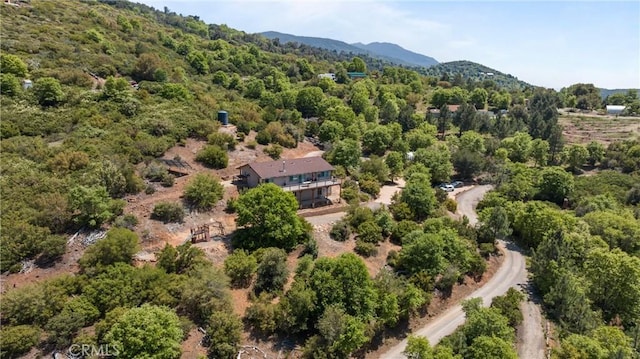 7525 Starlight Way, Julian, CA 92036 - photo 48