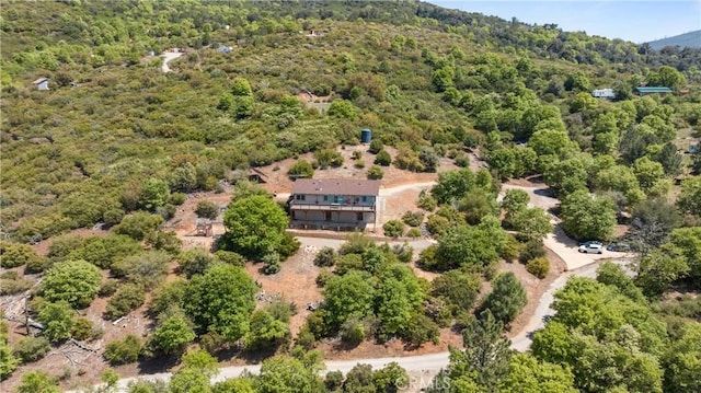 7525 Starlight Way, Julian, CA 92036 - photo 47