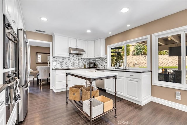 22602 Manalastas Dr, Lake Forest, CA 92630 - kitchen featuring under cabinet range hood, a sink, stainless steel appliances, tasteful backsplash, and white cabinets