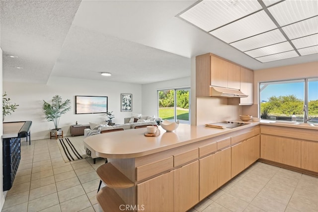 5932 Ellenview Ave, Woodland Hills, CA 91367 - kitchen featuring a sink, light brown cabinetry, under cabinet range hood, and light tile patterned floors