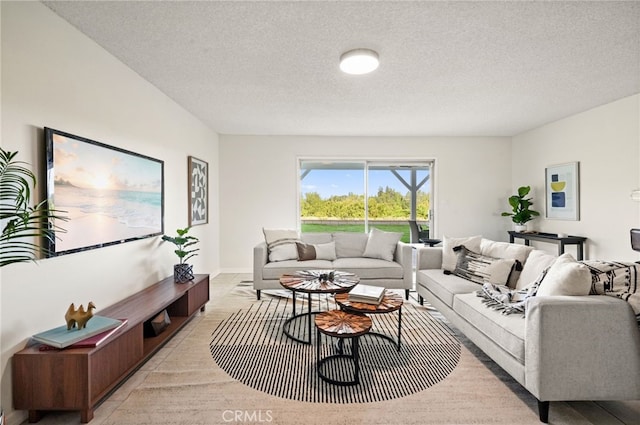 5932 Ellenview Ave, Woodland Hills, CA 91367 - living room featuring a textured ceiling and baseboards