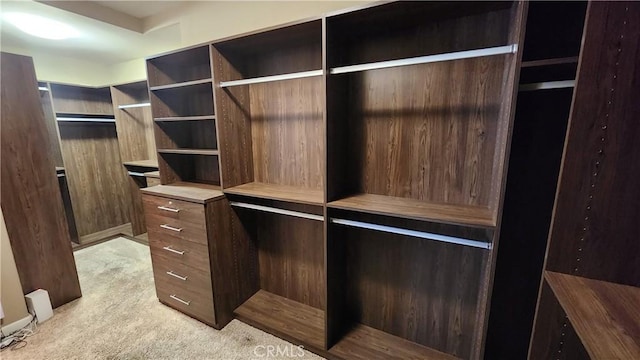 31820 Paseo Tarazona, San Juan Capistrano, CA 92675 - spacious closet featuring light colored carpet